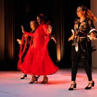tanzpalast-aarau-siramark-dance-exotica-orientalischer-tanz-buehne